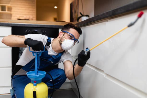  Richwood, WV Pest Control Pros