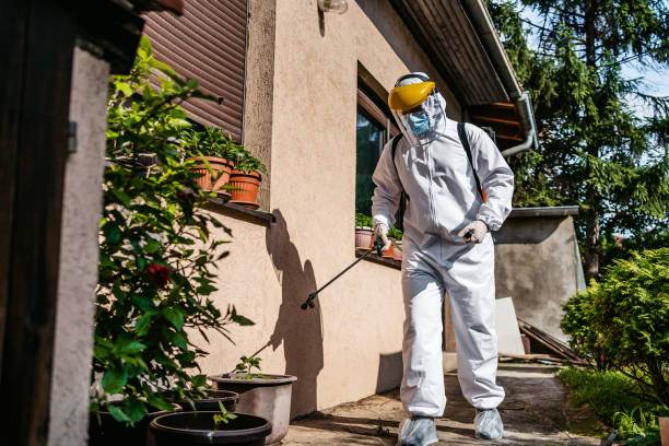 Best Commercial Pest Control Services  in Richwood, WV