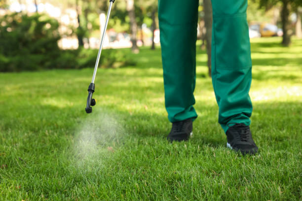 Professional Pest Control in Richwood, WV