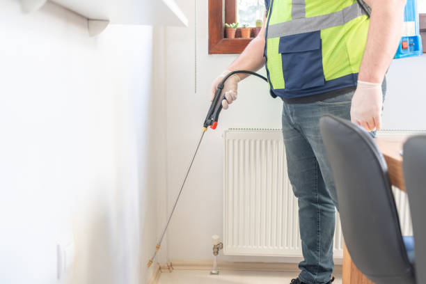 Best Pest Removal Services  in Richwood, WV