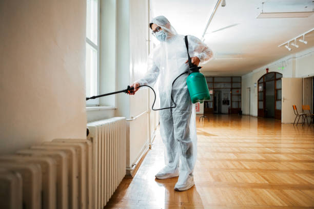 Best Local Pest Control Services  in Richwood, WV